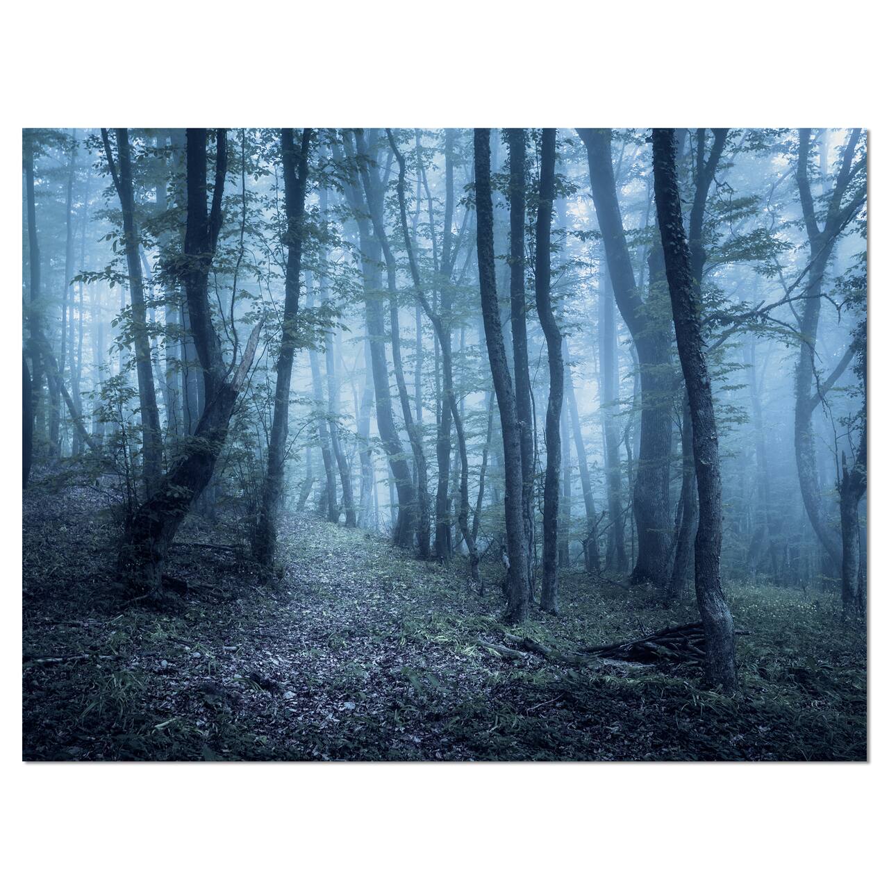 Designart - Spring Foggy Forest Trees - Landscape Photography Canvas Print